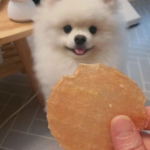 네츄럴코어 독 천연 치킨 하드칩 40g 베스트 후기 이미지