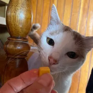 베스트 후기 이미지