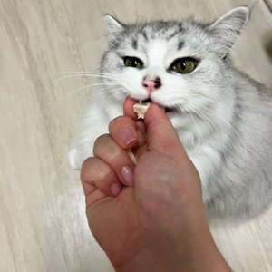 베스트 후기 이미지