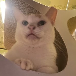 베스트 후기 이미지