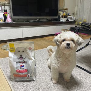 베스트 후기 이미지