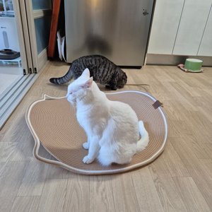 베스트 후기 이미지
