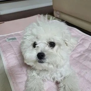 베스트 후기 이미지