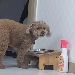 베스트 후기 이미지