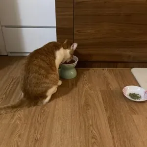 베스트 후기 이미지