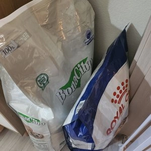 보나시보 독 램&라이스 어덜트 라지브리드 15kg 베스트 후기 이미지