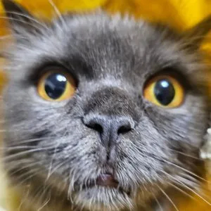 베스트 후기 이미지