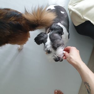 베스트 후기 이미지
