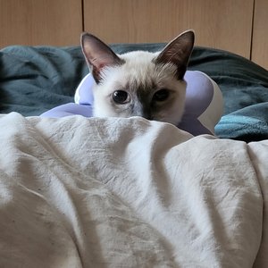 베스트 후기 이미지