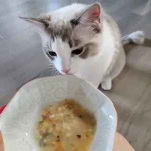 베스트 후기 이미지