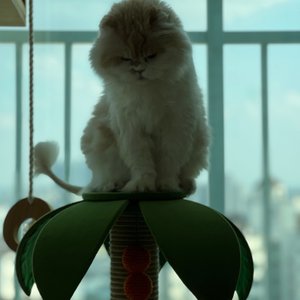 베스트 후기 이미지