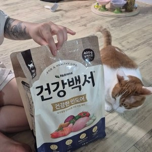 [브랜드전] 뉴트리나 캣 건강백서 건강한 인도어 6kg 베스트 후기 이미지