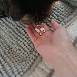 [대용량] 촉촉트릿 for cat 초미니트릿 북어 120g 베스트 후기 이미지