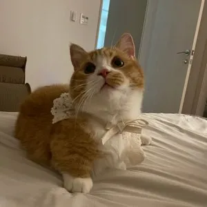 베스트 후기 이미지