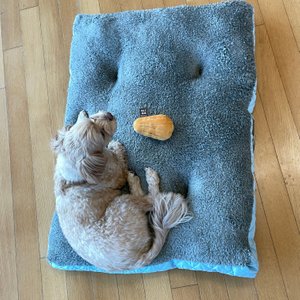 베스트 후기 이미지