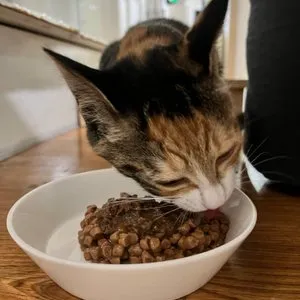 베스트 후기 이미지