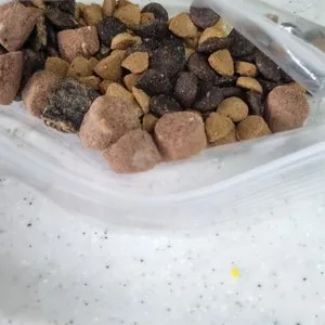 베스트 후기 이미지