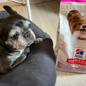 베스트 후기 이미지