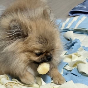 베스트 후기 이미지