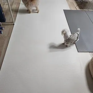 베스트 후기 이미지