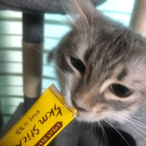 베스트 후기 이미지