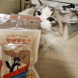 베스트 후기 이미지