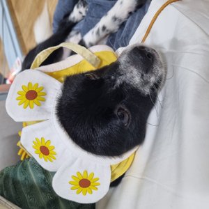 베스트 후기 이미지