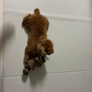 베스트 후기 이미지