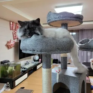 베스트 후기 이미지