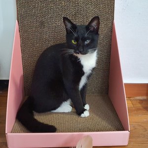 베스트 후기 이미지