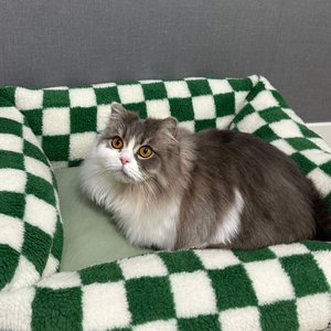 베스트 후기 이미지