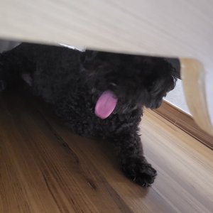 베스트 후기 이미지
