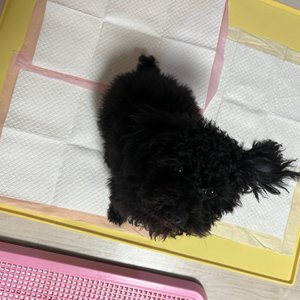 베스트 후기 이미지