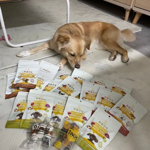 베스트 후기 이미지