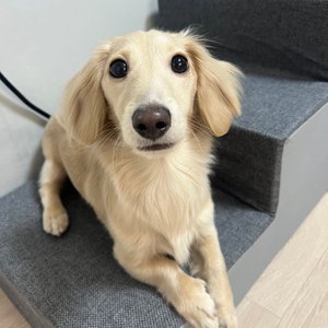 베스트 후기 이미지