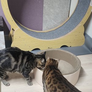 베스트 후기 이미지