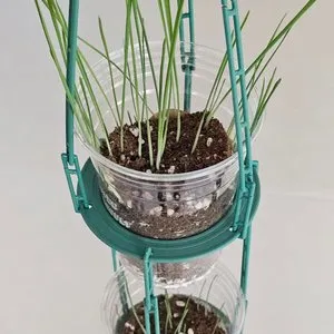 베스트 후기 이미지