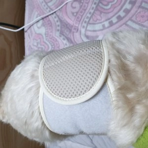 [무료배송] 베베페페 아임해피 강아지 기저귀 매너벨트 세트 베이지 (리필패드10매+매너벨트) 베스트 후기 이미지