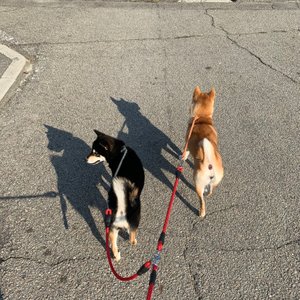 베스트 후기 이미지