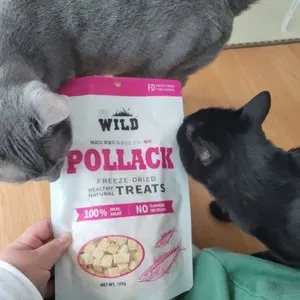 베스트 후기 이미지