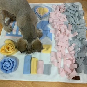 [무료배송] 아띠지기 C-노즈워크 파스텔 중대형/대형 베스트 후기 이미지