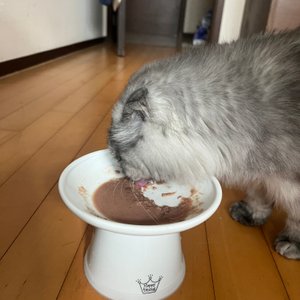 베스트 후기 이미지