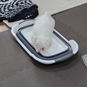 베스트 후기 이미지