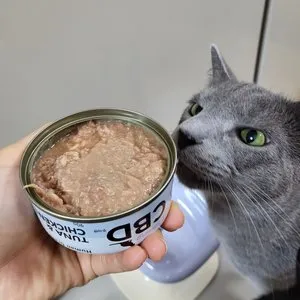 베스트 후기 이미지