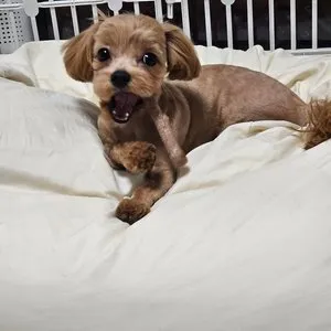 베스트 후기 이미지