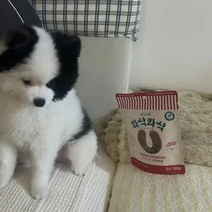 베스트 후기 이미지