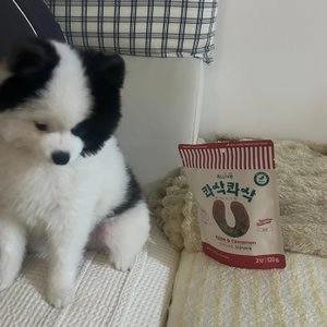 [NEW신상][체험팩] 올리브 독 콰삭콰삭 애플&시나몬 12g 베스트 후기 이미지