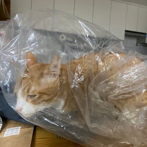 베스트 후기 이미지