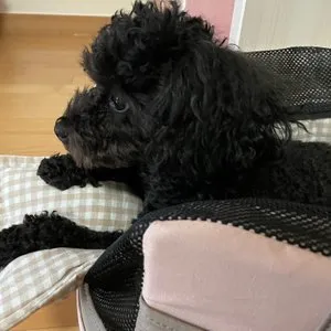 베스트 후기 이미지