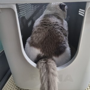 베스트 후기 이미지